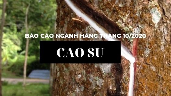 Báo cáo ngành hàng cao su tháng 10/2020: Xuất khẩu tăng mạnh